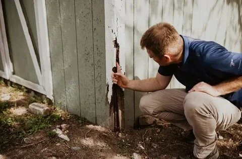 Annual termite inspections